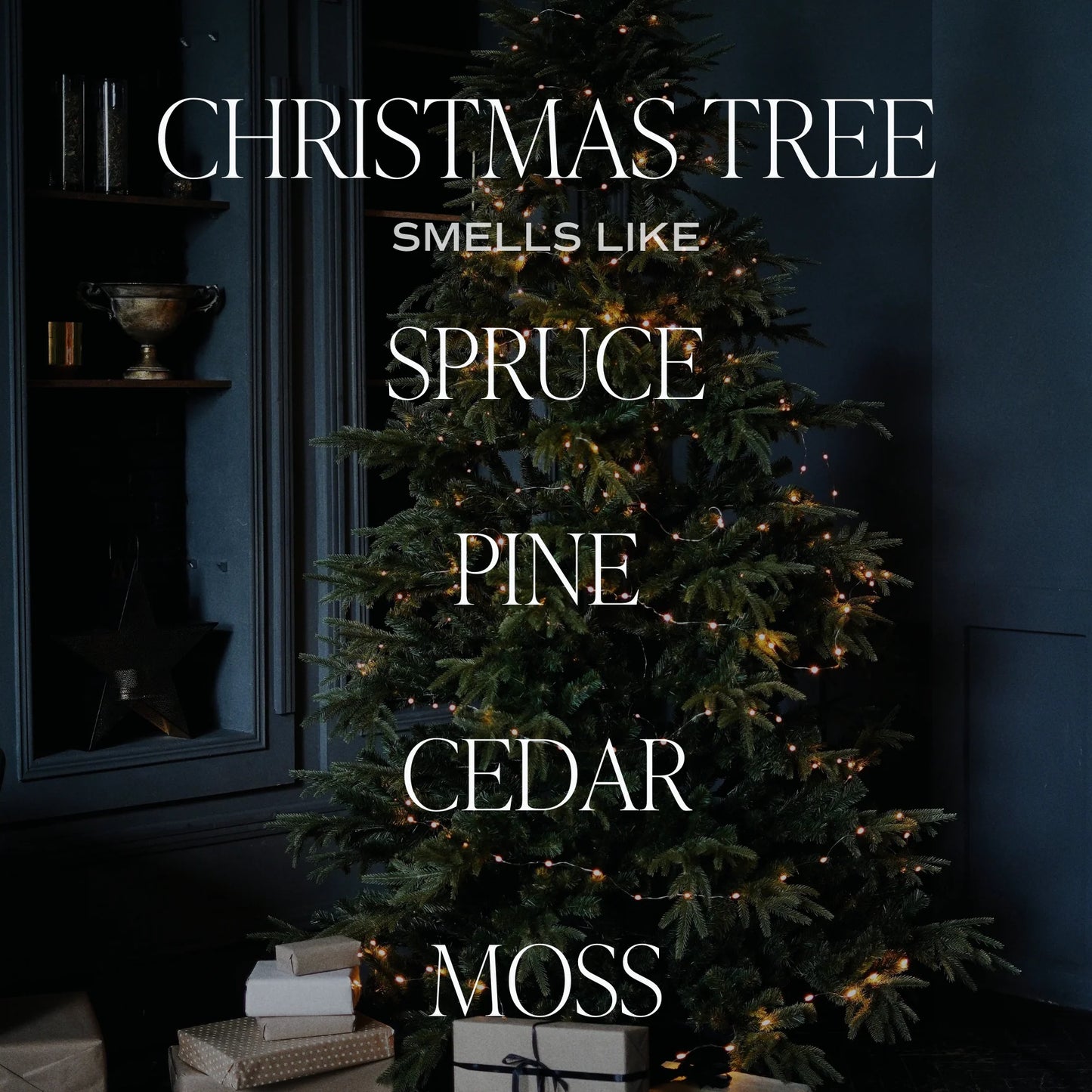 Christmas Tree Candle | 9oz