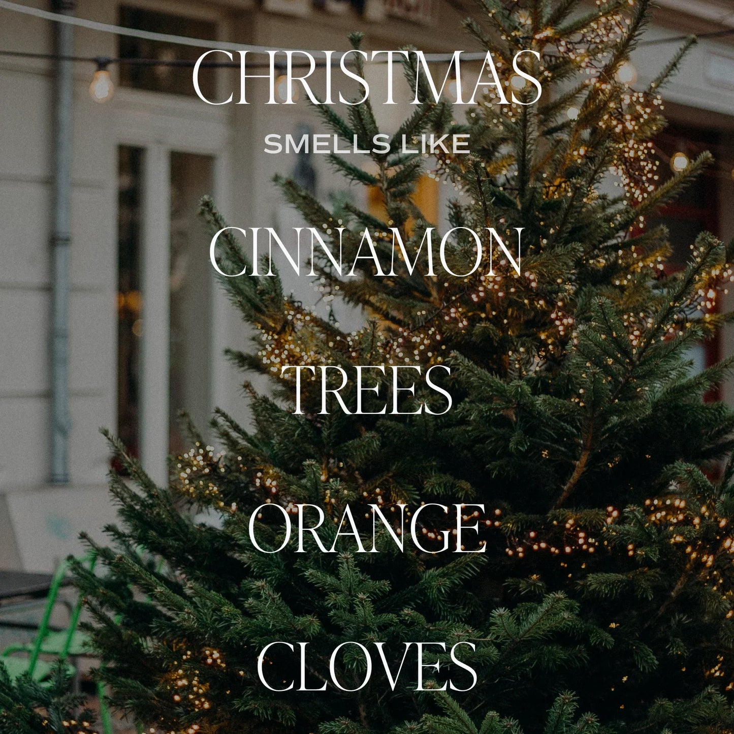 Merry Christmas Candle | 9oz