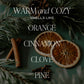 Warm and Cozy Candle | 9oz