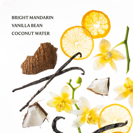 Touchland Hand Sanitizer | Vanilla Blossom
