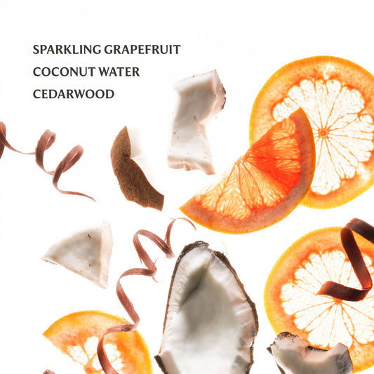 Touchland Hand Sanitizer | Beach Coco