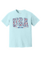 Light blue unisex t-shirt featuring bold "USA" block letters filled with a red, white, and blue floral pattern for a faux-embroidered look. Below, "EST. 1776" is printed in navy with red stars, celebrating American heritage. Classic crew neck and short sleeves offer a comfortable fit, perfect for patriotic holidays like the Fourth of July or Memorial Day.